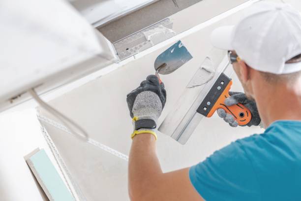 Best HVAC Mold Inspection and Cleaning  in Burnettown, SC